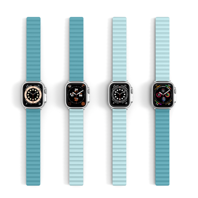 Apple Watch DuoColor Flip Band 