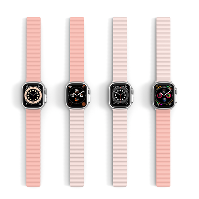 Apple Watch DuoColor Flip Band 