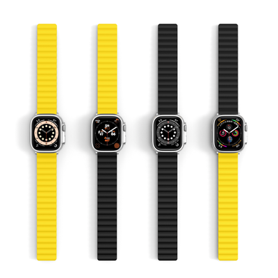 Apple Watch DuoColor Flip Band 